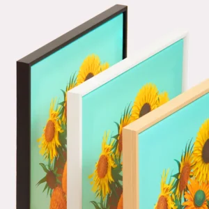 Cadres pour toiles canvas