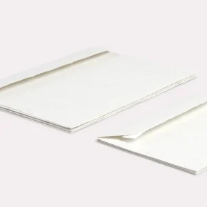 Enveloppe en papier ensemencé