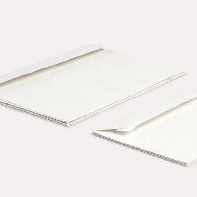 Enveloppe en papier ensemencé