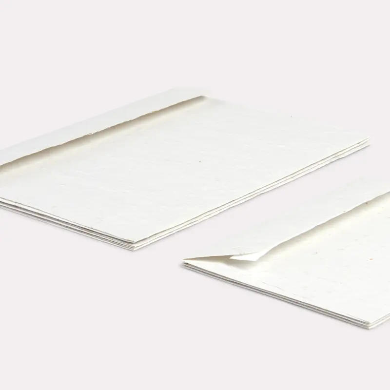 Enveloppe en papier ensemencé