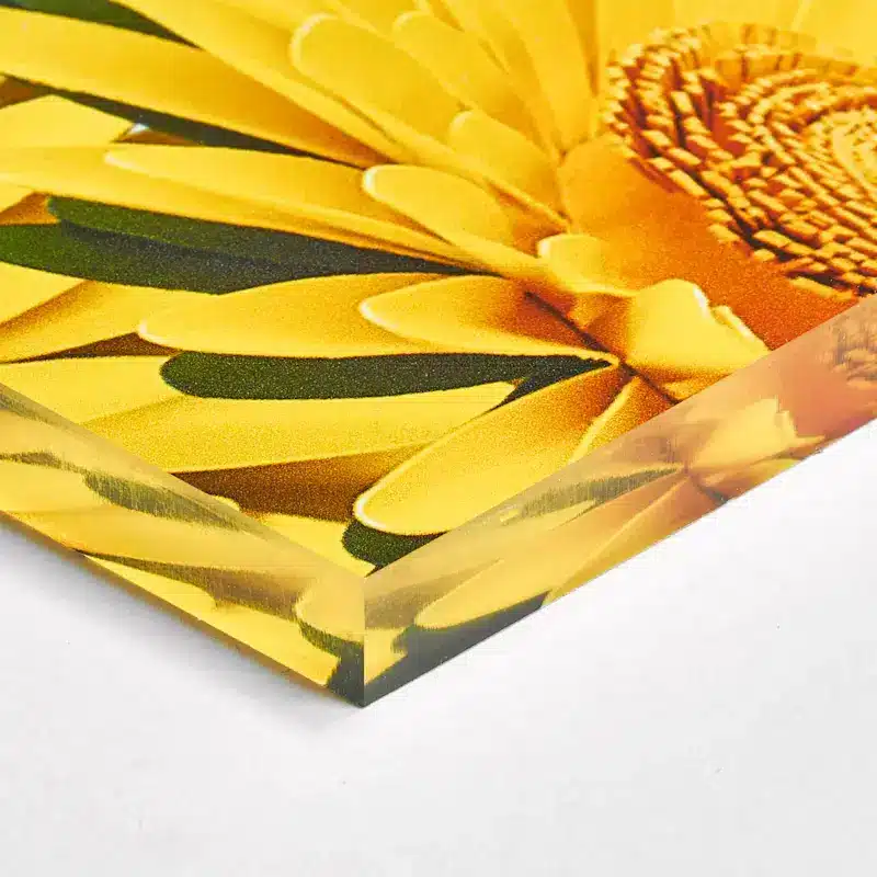 Photo sur plexiglas – Image 4