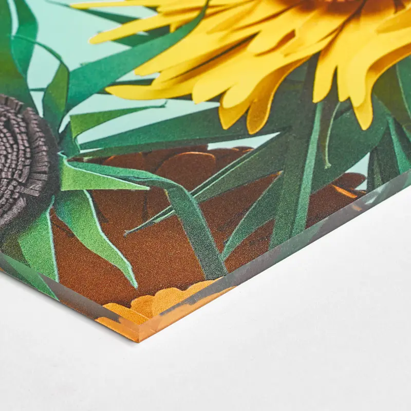 Plexiglas – Image 6