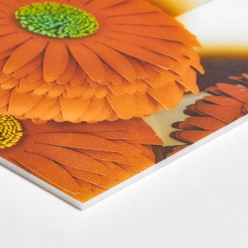 Plexiglas – Image 8