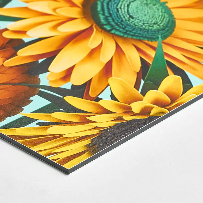 Dibond® – Image 8