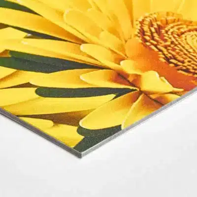 Photo sur papier carte – visuel 2