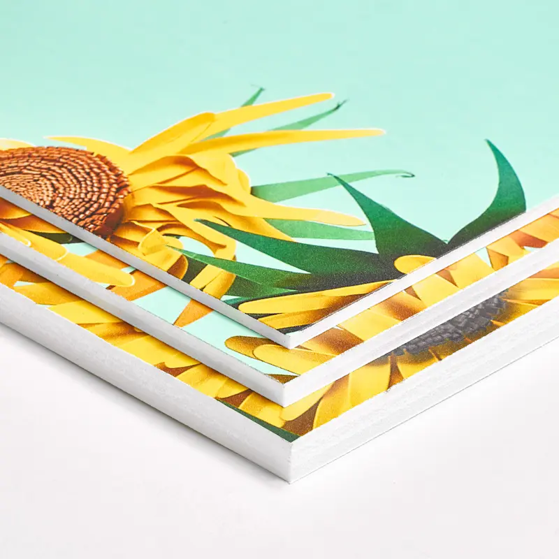 Carton mousse – Image 5