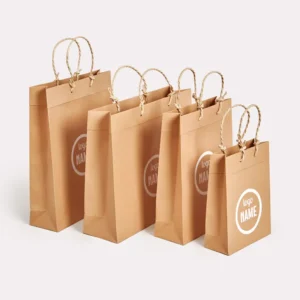 Sac luxe en papier - recyclé à poignées torsadées
