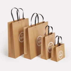 Sac luxe en papier - recyclé avec goujons