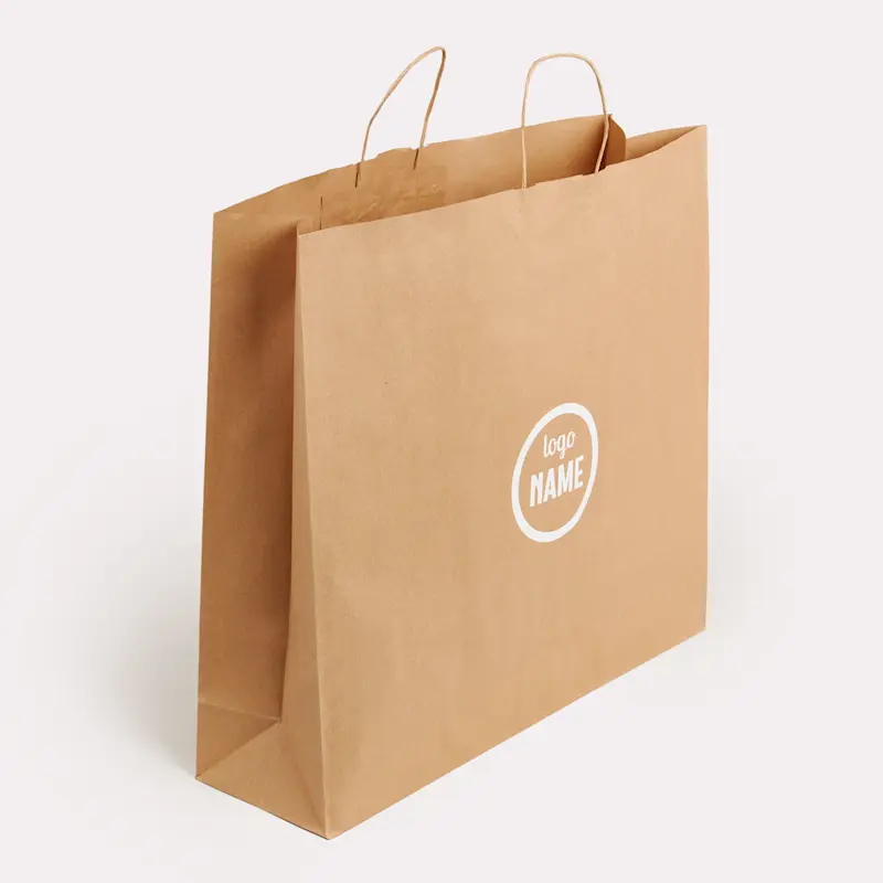 Sac en papier avec anse torsadée - sérigraphie – Image 2