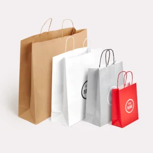 Sac en papier avec anse torsadée - sérigraphie