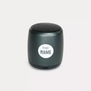 Mini enceinte sans fil