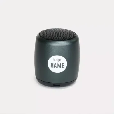Mini enceinte sans fil