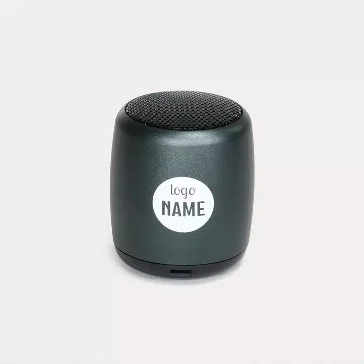 Mini enceinte sans fil