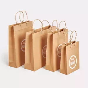 Sac luxe en papier - recyclé à poignées torsadées