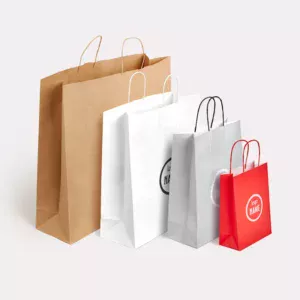 Sac en papier avec anse torsadée - sérigraphie