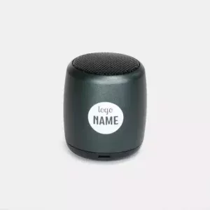 Mini enceinte sans fil
